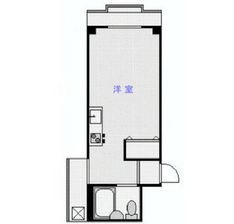 東京都新宿区西早稲田３丁目 賃貸マンション 1R